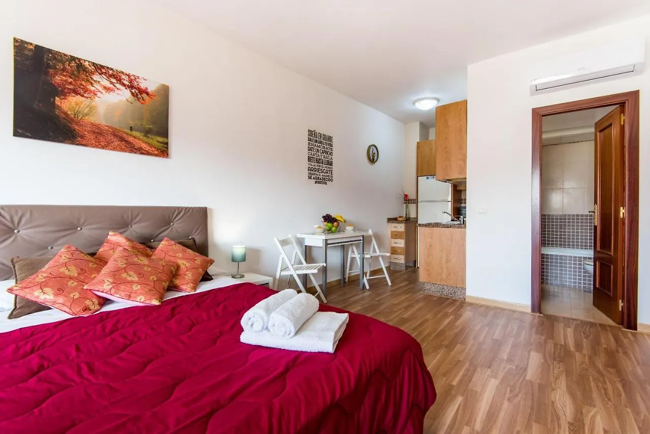 Loft Malagasol Apartment Malaga